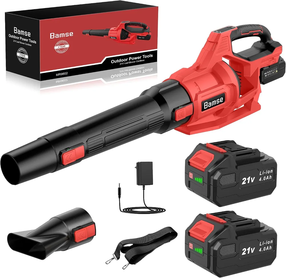 Soffiatore a batteria Bamse 21 V con 2 batterie